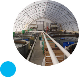 Réglementation de pisciculture