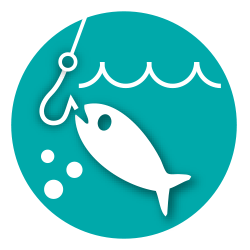 Ensemencement pisciculture